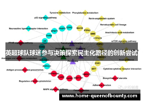 英超球队球迷参与决策探索民主化路径的创新尝试