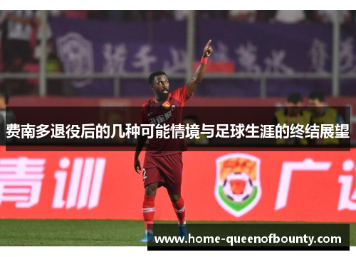 费南多退役后的几种可能情境与足球生涯的终结展望