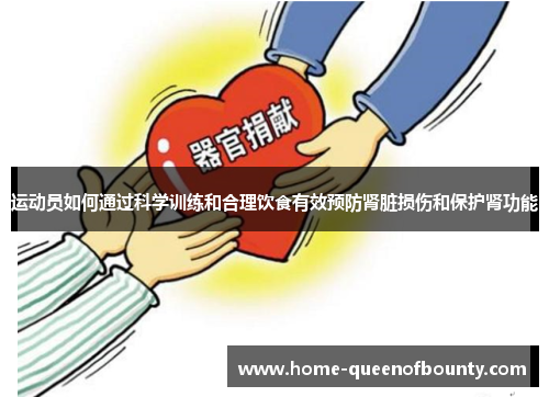 运动员如何通过科学训练和合理饮食有效预防肾脏损伤和保护肾功能